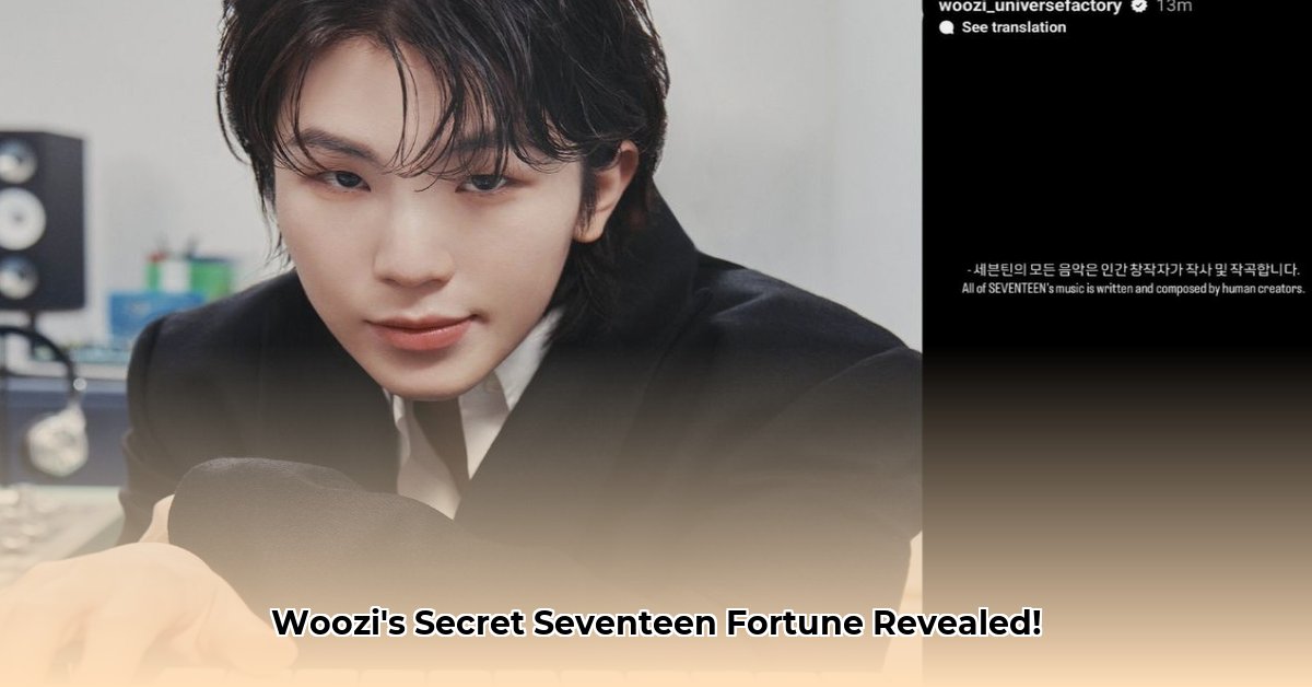 woozi-net-worth